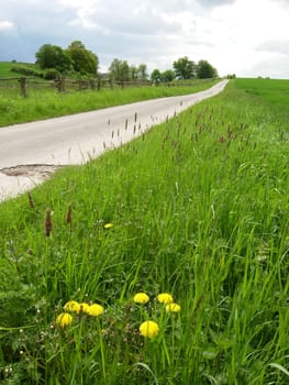 Path between cattle pastures