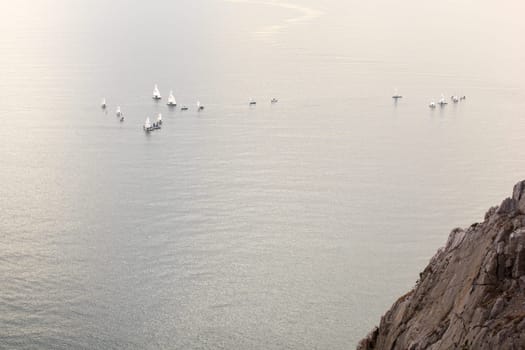 A lot of sailboats on the Trieste sea