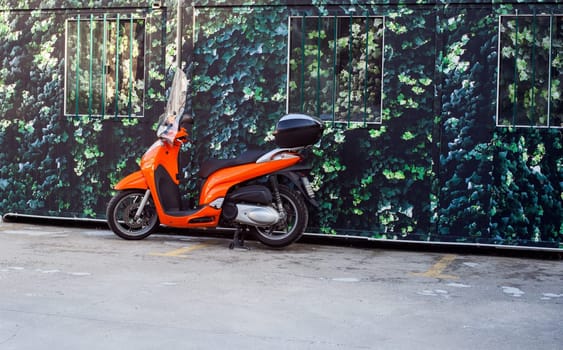 Photo of a Red scooter, print vegetation on background