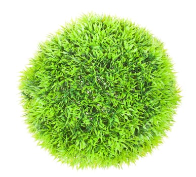 Photo of a Green ball grass isolated on white background