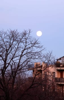 Photo of sky with moon on building and trees