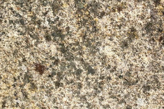 Stone texture