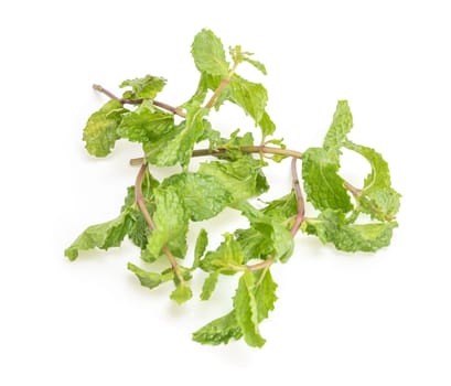 three fresh mint leaves isolated on white background. Studio macro