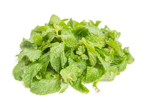 three fresh mint leaves isolated on white background. Studio macro