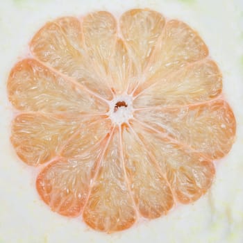 Pomelo or Chinese grapefruit