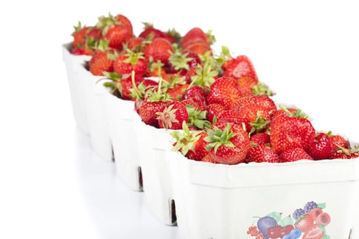 Freshly harvested strawberries lined up in cardboard boxes on a white background