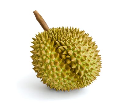 Durian, the king of fruits in South East Asia on background.
