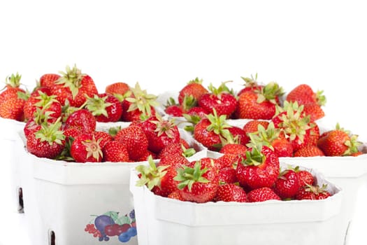 Numerous strawberries lined up in cardboard boxes on a white background