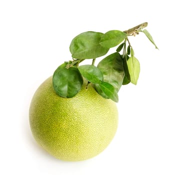Pomelo or Chinese grapefruit