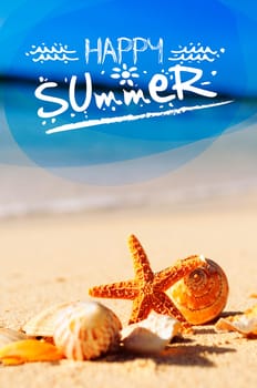 sea shells with sand as background