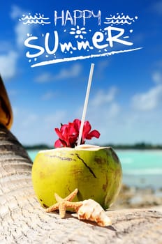 Coconut with drinking straw on a palm tree at the sea
