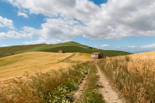 meadows in the hills of Salerno in Italy