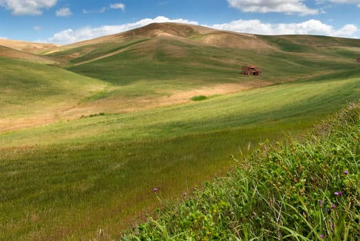 meadows in the hills of Salerno in Italy
