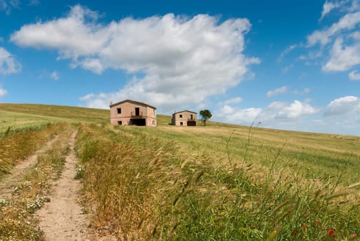 meadows in the hills of Salerno in Italy