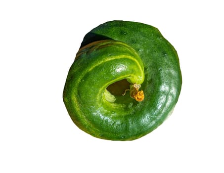 Funny twisted cucumber in the form of a circle on a wooden background, top view, isolated on a white background.