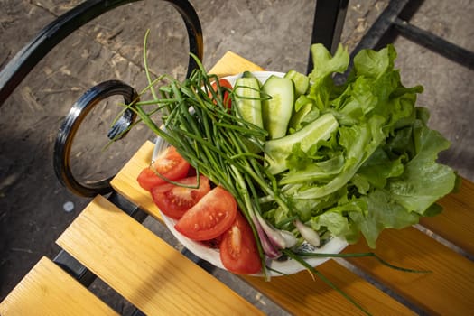 Fresh vegetables - lettuce, spring onions, tomatoes and cucumbers on a white plate on a wooden vintage bench in the garden background. The concept of growing organic vegetables.