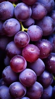 A bunch of grapes with water droplets on them