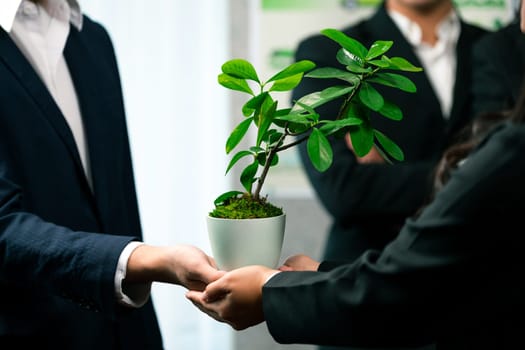 Eco-friendly investment on reforestation by group of business people holding plant together in office promoting CO2 reduction and natural preservation to save Earth with sustainable future. Quaint