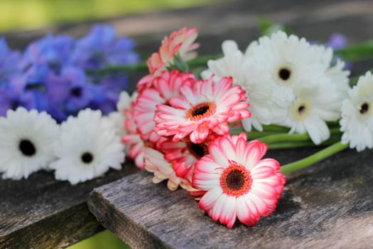 Colorful garden flowers on old oak boards