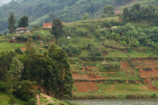 A small hillside farming community on a lake shore