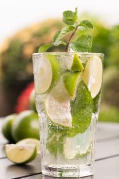 Mojito cocktail close up with plants and blue sky background