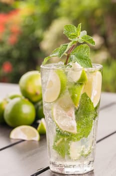Mojito cocktail close up with garden background