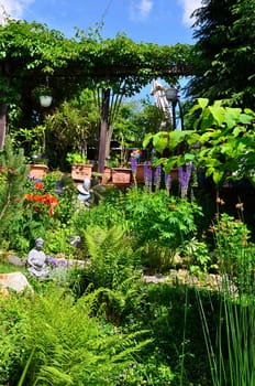 Summer Terrace Garden