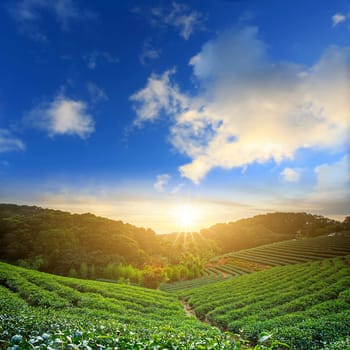 Beautiful place with nice rainbow for adv or others purpose use