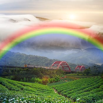 Beautiful place with nice rainbow for adv or others purpose use