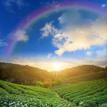 Beautiful place with nice rainbow for adv or others purpose use