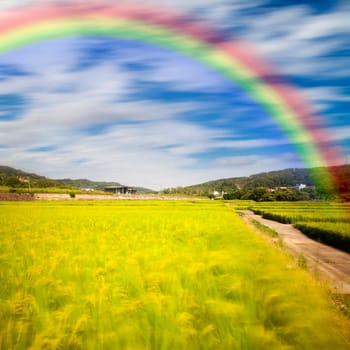 Beautiful place with nice rainbow for adv or others purpose use