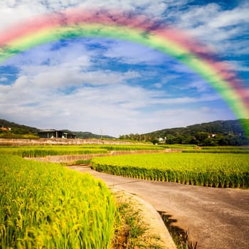 Beautiful place with nice rainbow for adv or others purpose use