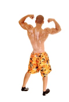 A very muscular young man standing in a colorful shorts from the back.for white background with his arms up, showing his biceps..