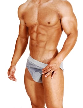A young muscular bodybuilder in a torso shoot standing in gray underwear.for white background showing his great body..