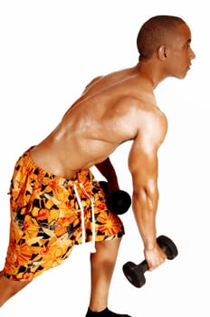 A young Jamaican man in colorful shorts standing in profile for white.background, exercising with his black dumbbells..