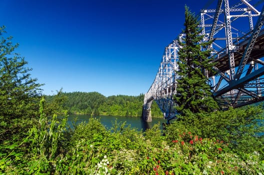 Vegetation surrounding the Bridge of the Gods connecting Oregon to Washington
