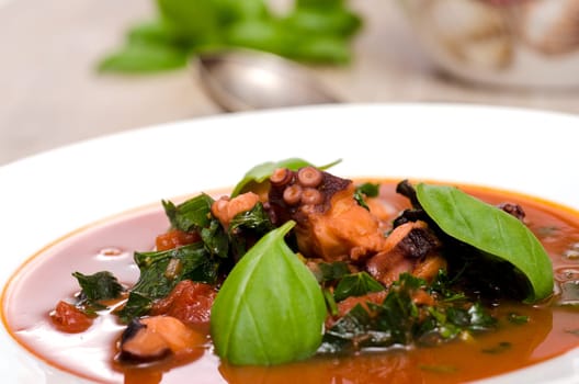 Octopus and basil in tomato sauce in a white plate