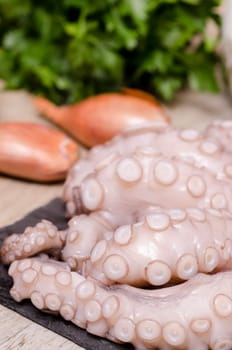 Raw squid with onions and parsley in portrait format