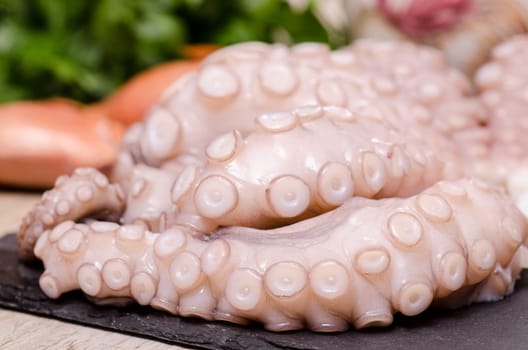 Tentacles of a raw squid