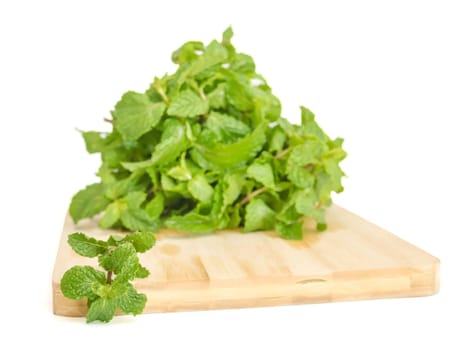 three fresh mint leaves isolated on white background. Studio macro
