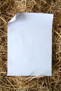old paper on dried grass