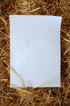 old paper on dried grass