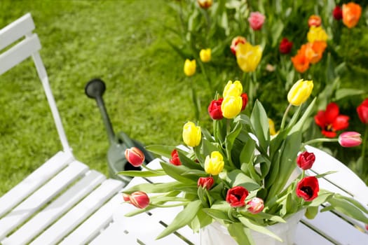 Tulips on garden table with watering can in the background