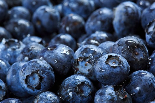 blueberries background
