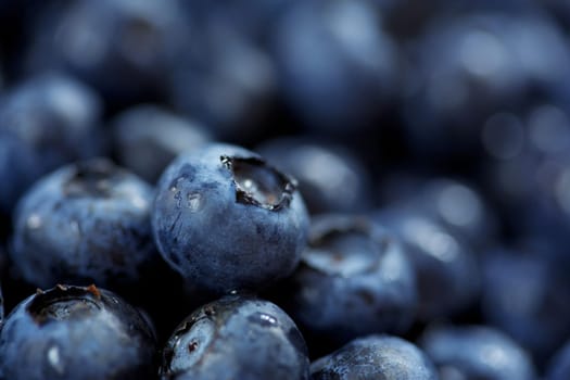 blueberries background