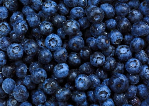 blueberries background