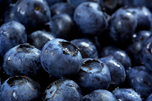 blueberries background