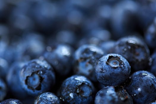 blueberries background