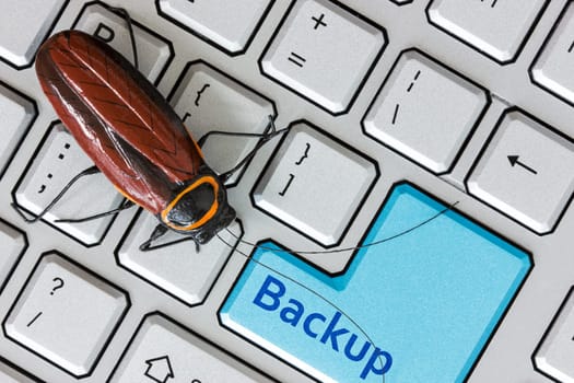 Bug on the  computer keybord with backup key for archiving and storage