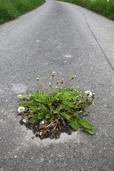 Nature wins